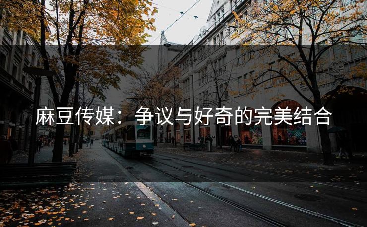 麻豆传媒:争议与好奇的完美结合 麻豆传媒:争议与好奇的完美结合